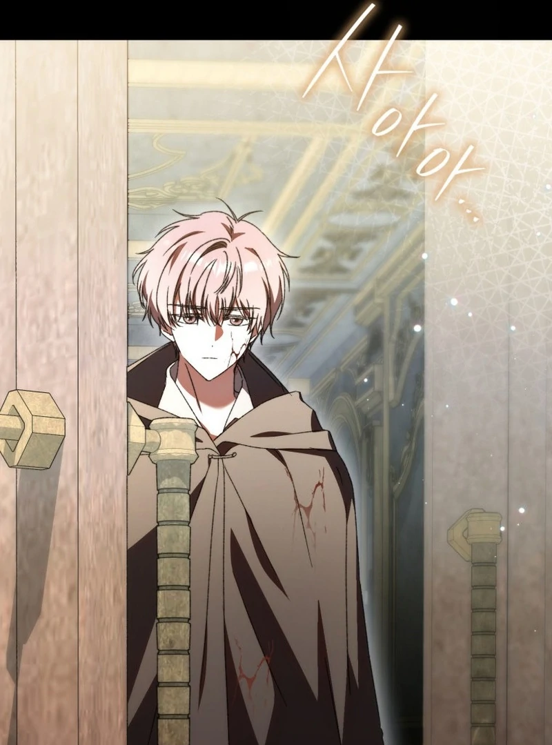 Read My Husband Is My Ultimate Bias, but I Think He Wants a Divorce EN Manga Online