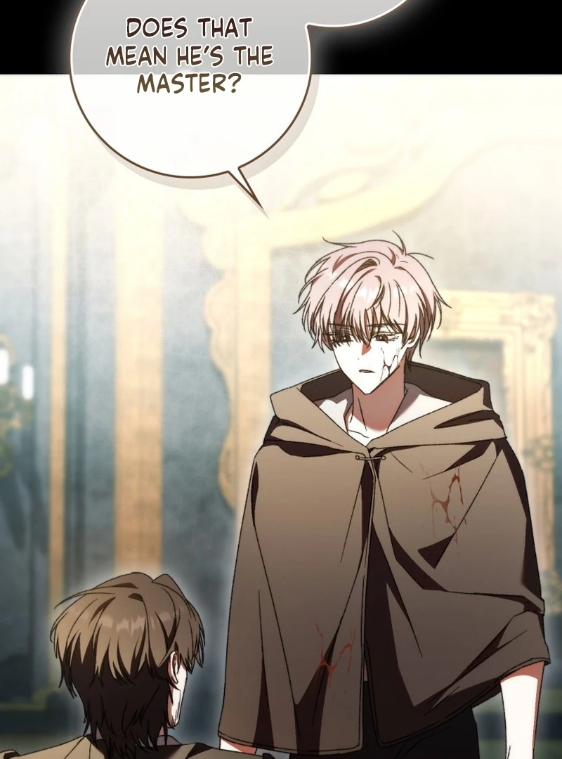 Read My Husband Is My Ultimate Bias, but I Think He Wants a Divorce EN Manga Online