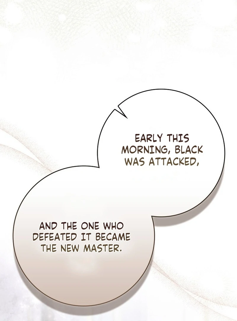 Read My Husband Is My Ultimate Bias, but I Think He Wants a Divorce EN Manga Online
