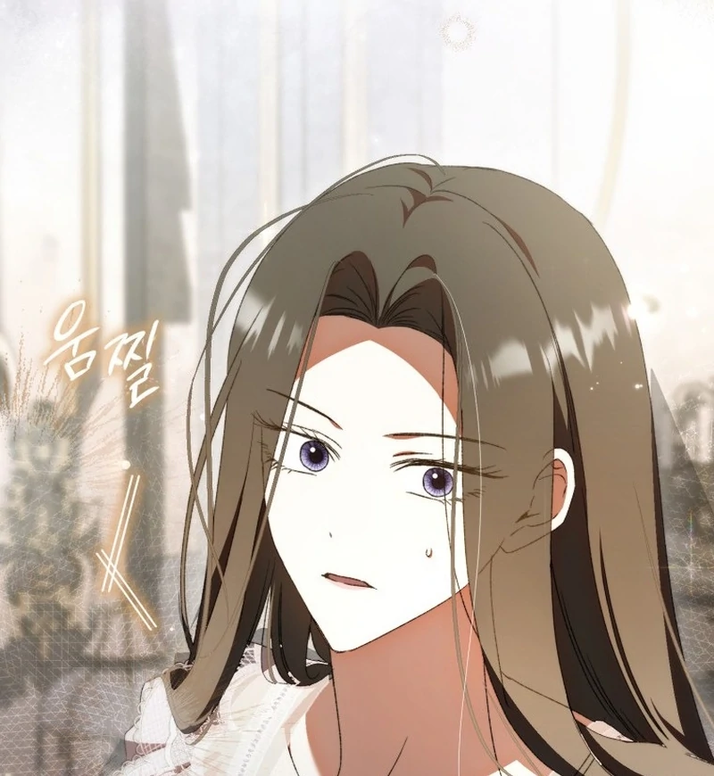 Read My Husband Is My Ultimate Bias, but I Think He Wants a Divorce EN Manga Online