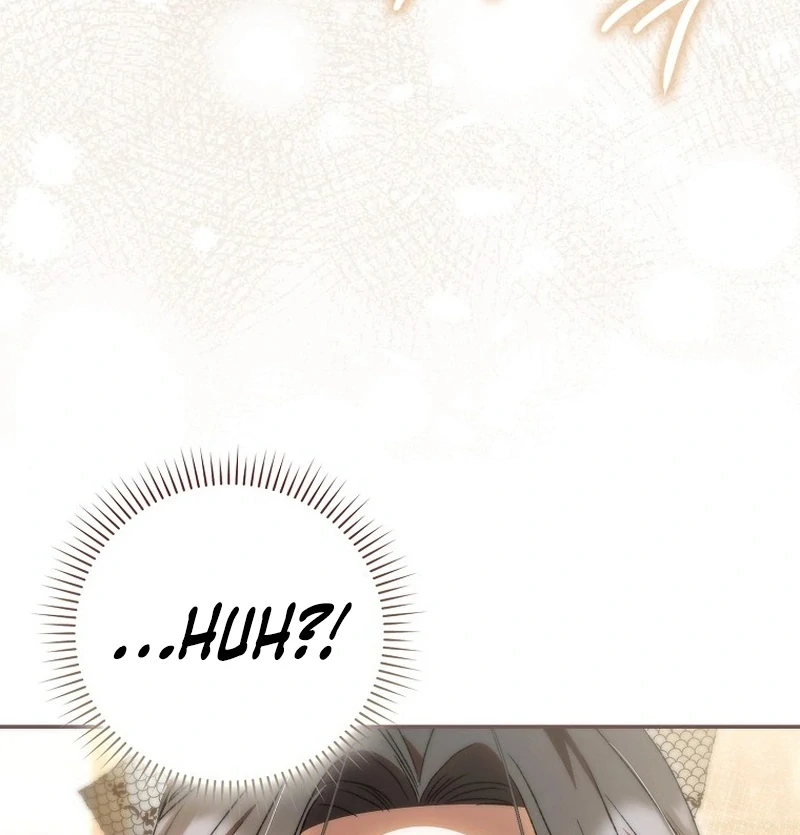 Read My Husband Is My Ultimate Bias, but I Think He Wants a Divorce EN Manga Online