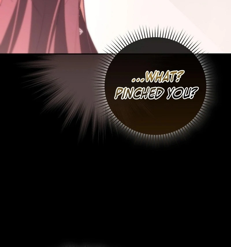 Read My Husband Is My Ultimate Bias, but I Think He Wants a Divorce EN Manga Online