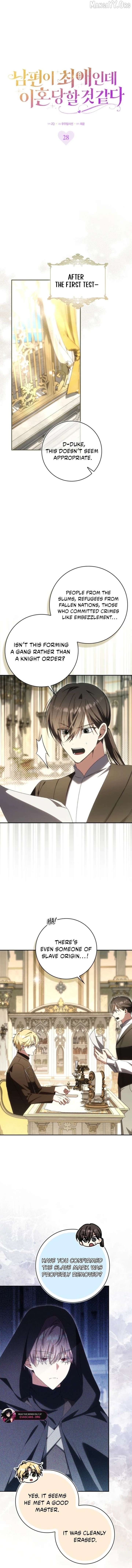 Read My Husband Is My Ultimate Bias, but I Think He Wants a Divorce EN Manga Online