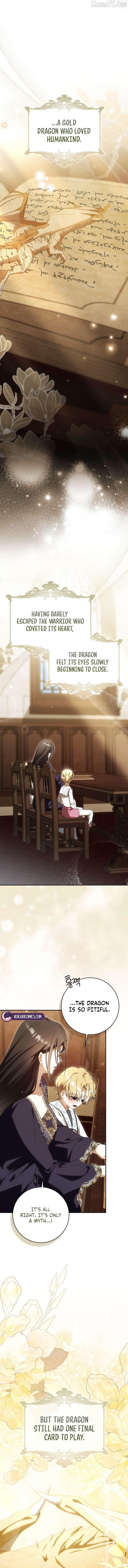 Read My Husband Is My Ultimate Bias, but I Think He Wants a Divorce EN Manga Online