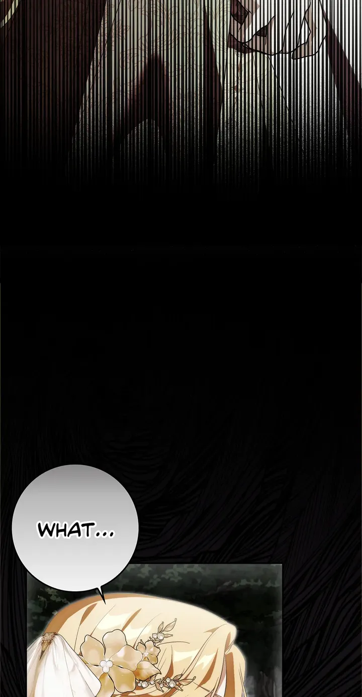 Read My Wish Is Two Separate Beds EN Manga Online