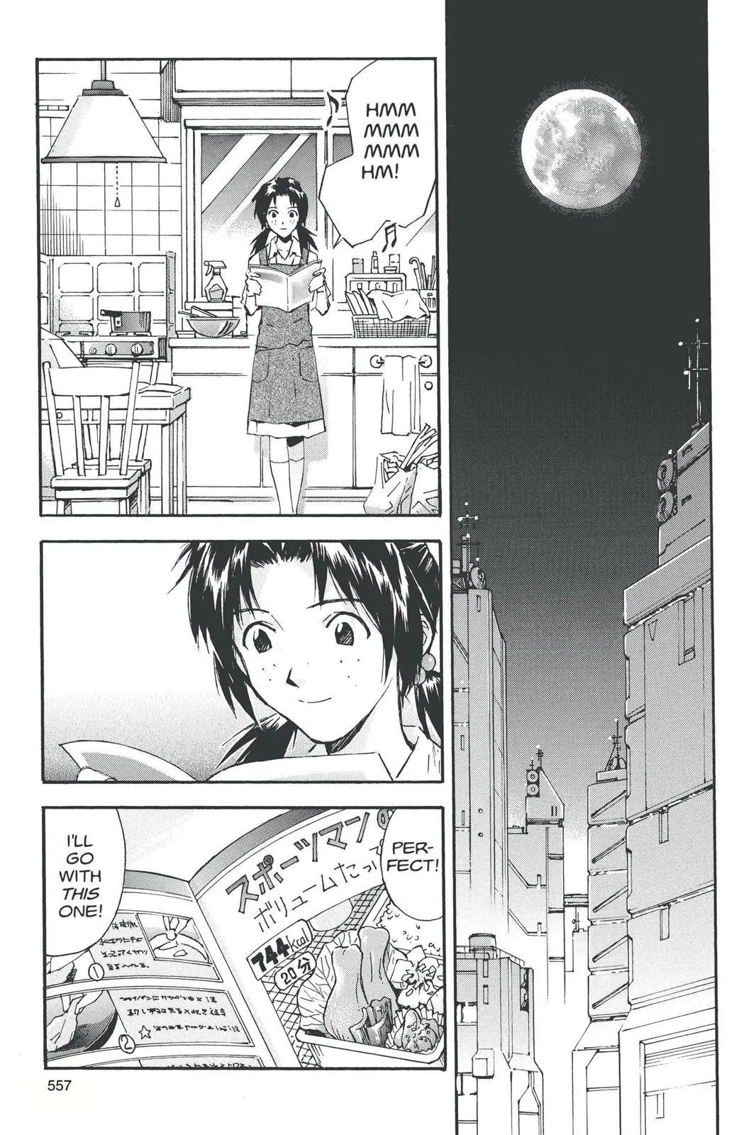 Read Neon Genesis Evangelion EN Manga Online