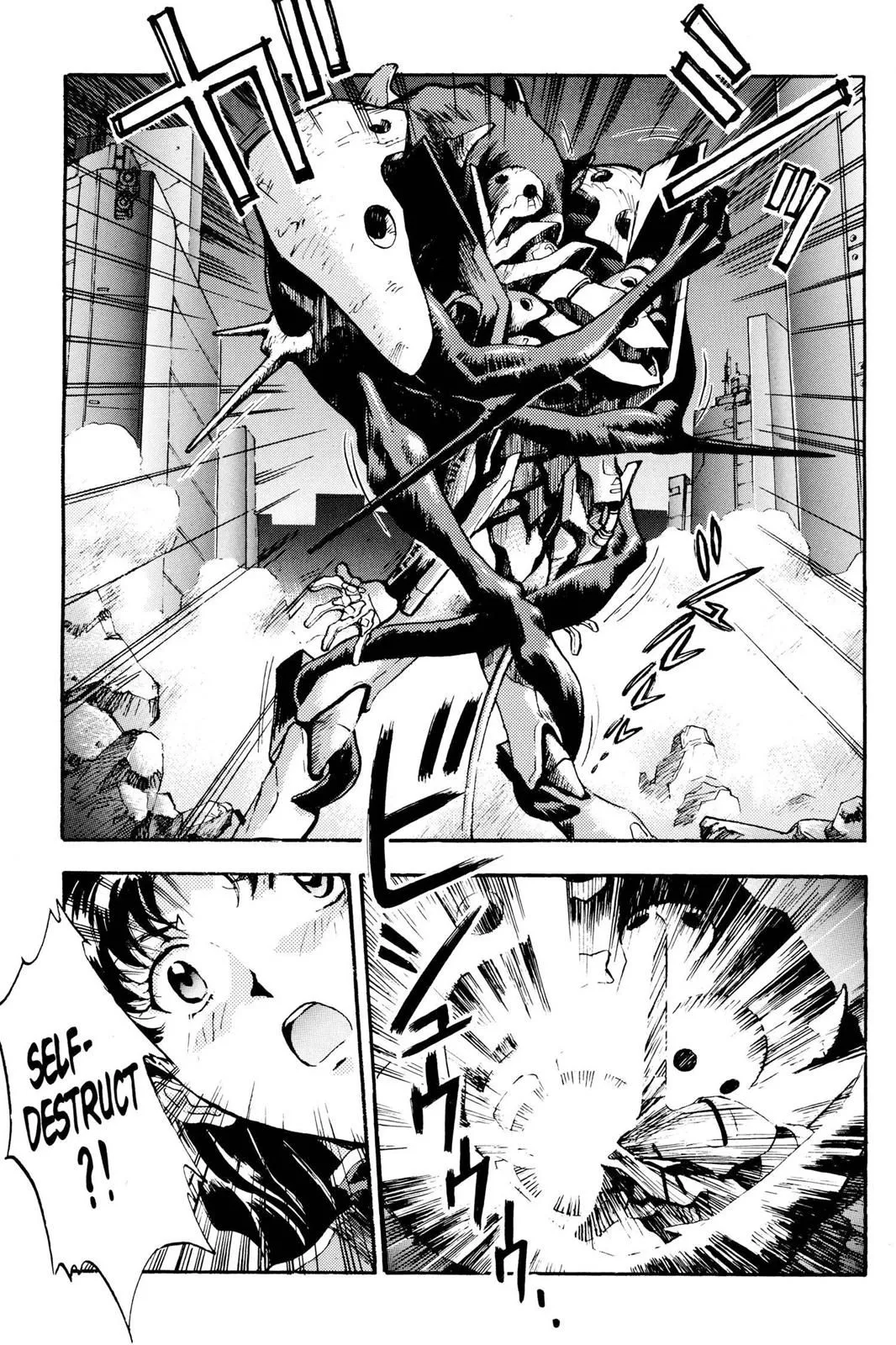 Read Neon Genesis Evangelion EN Manga Online