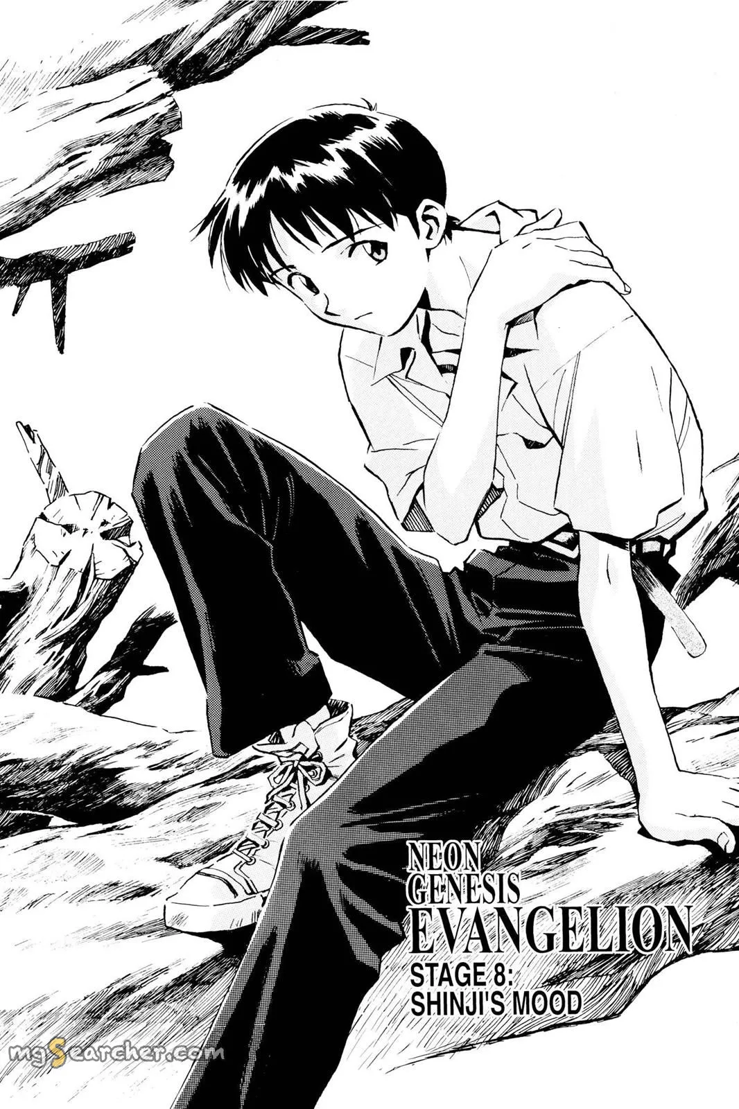 Read Neon Genesis Evangelion EN Manga Online