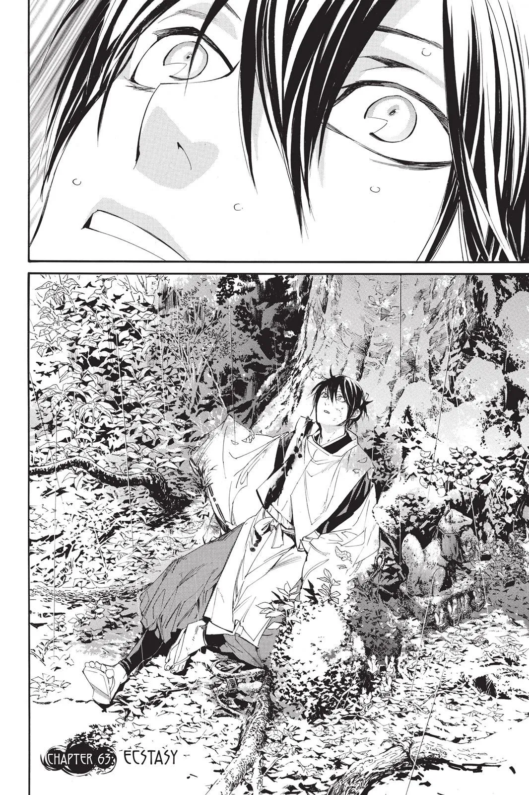 Read Noragami EN Manga Online