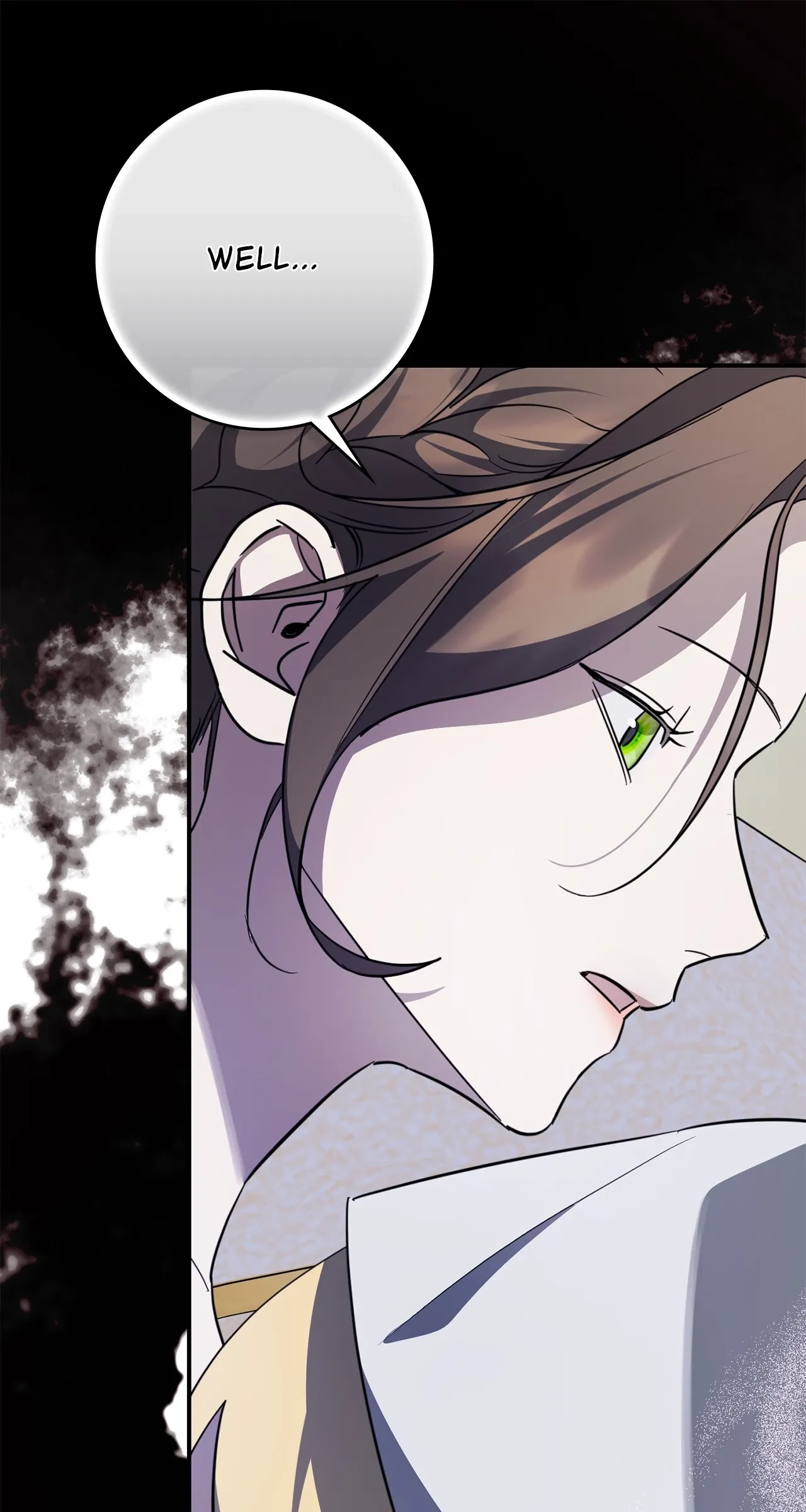 Read Once an Assassin, Now a Royal Nanny EN Manga Online