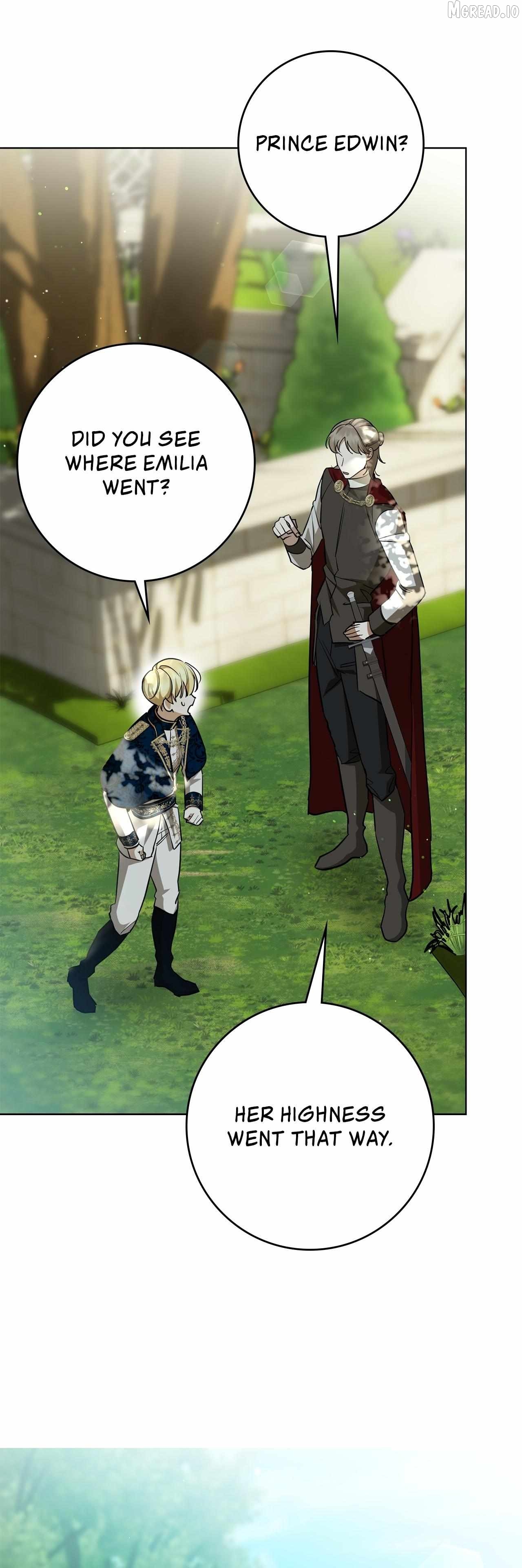 Read Once an Assassin, Now a Royal Nanny EN Manga Online