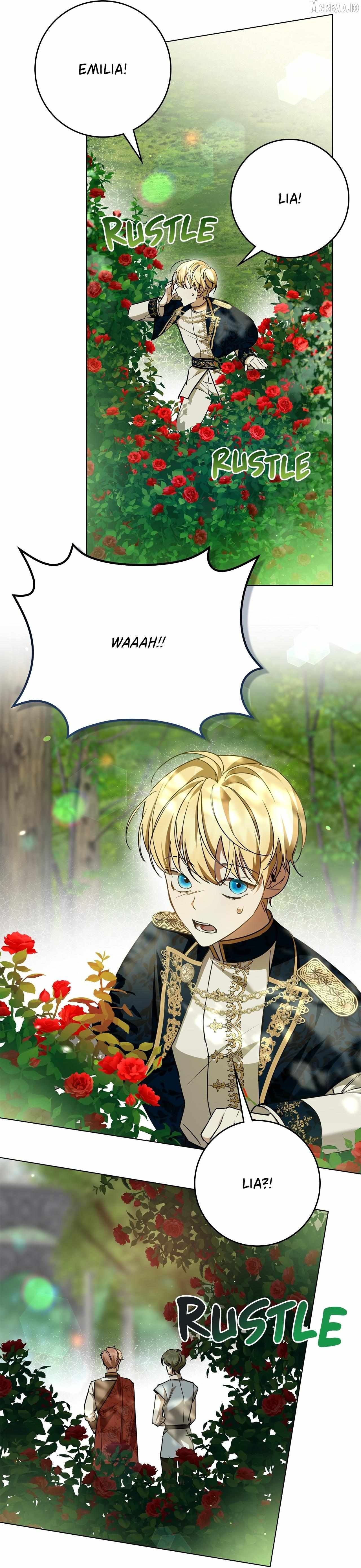 Read Once an Assassin, Now a Royal Nanny EN Manga Online