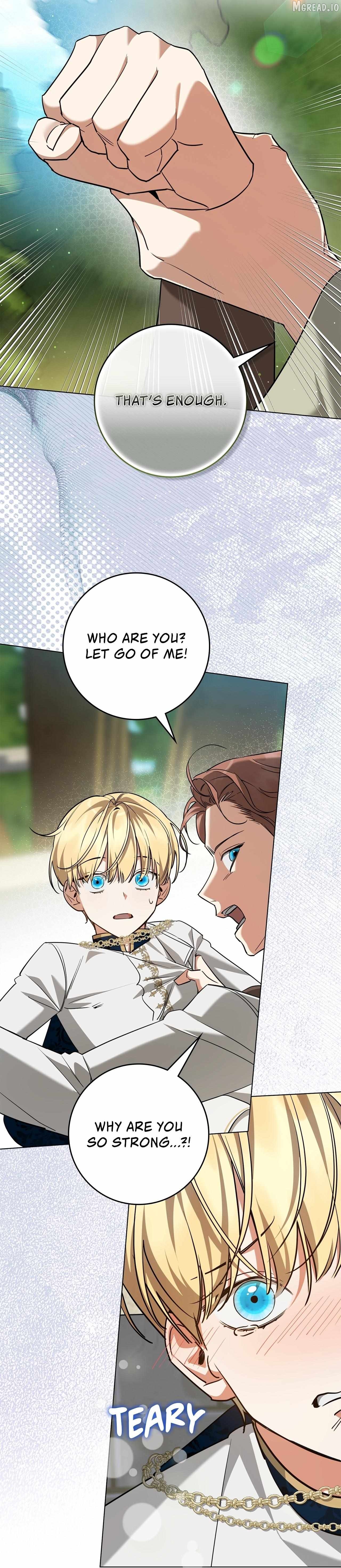 Read Once an Assassin, Now a Royal Nanny EN Manga Online