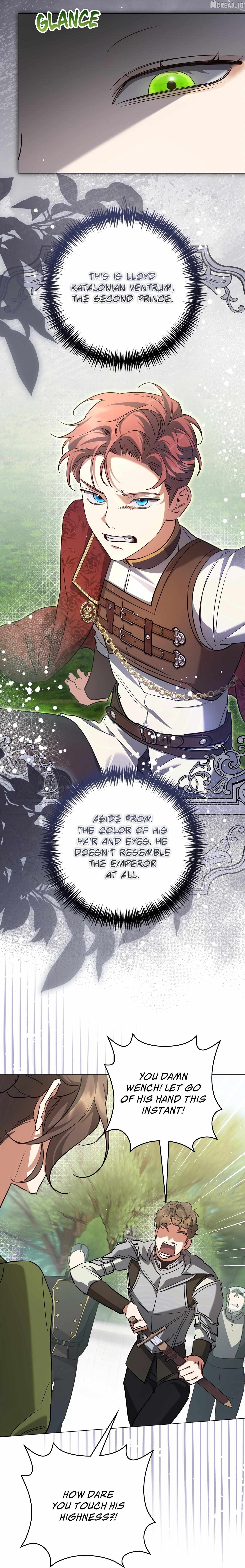 Read Once an Assassin, Now a Royal Nanny EN Manga Online