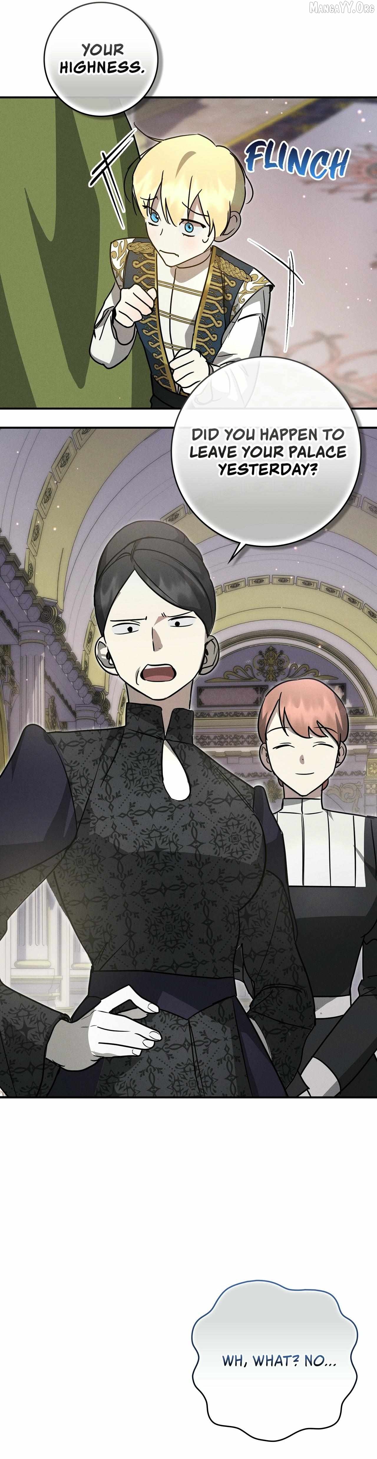 Read Once an Assassin, Now a Royal Nanny EN Manga Online