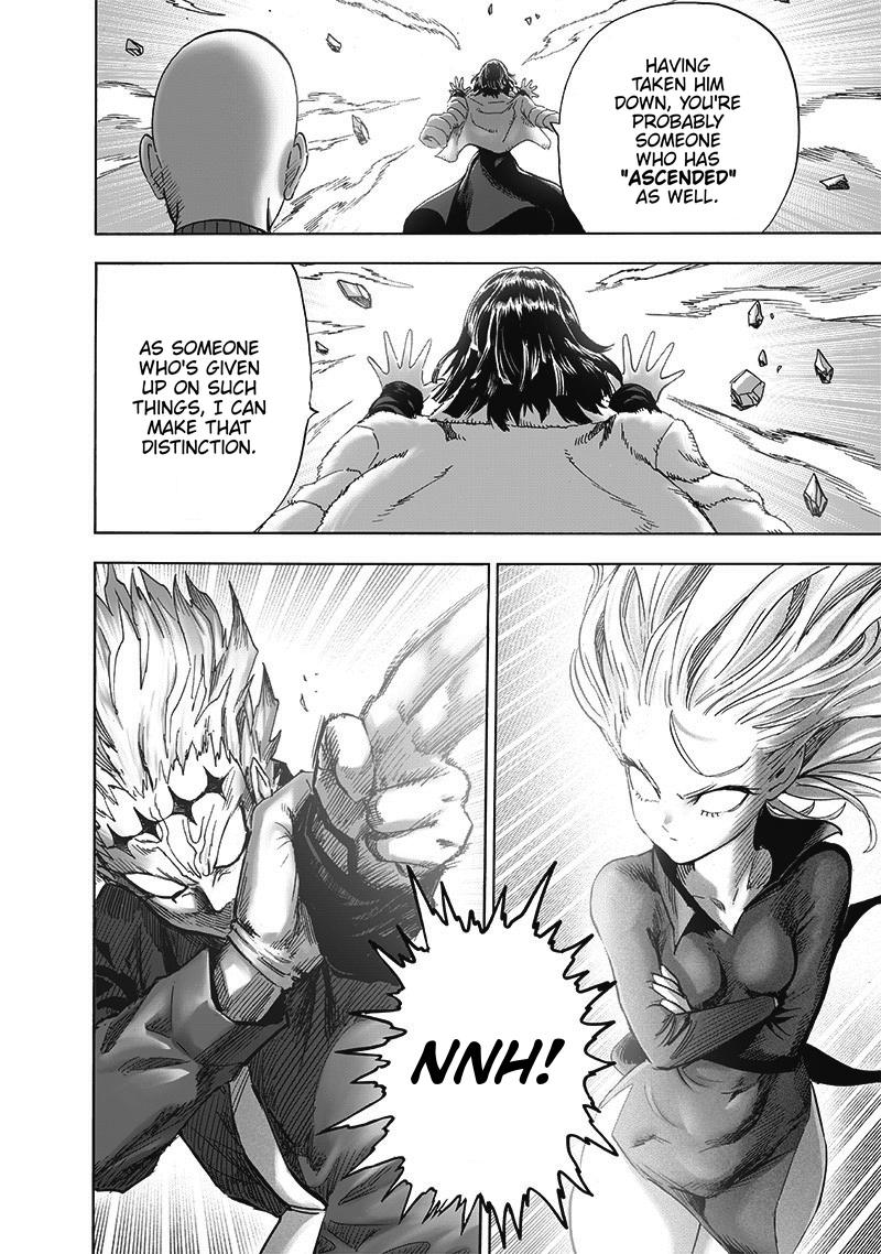 Read One-Punch Man EN Manga Online