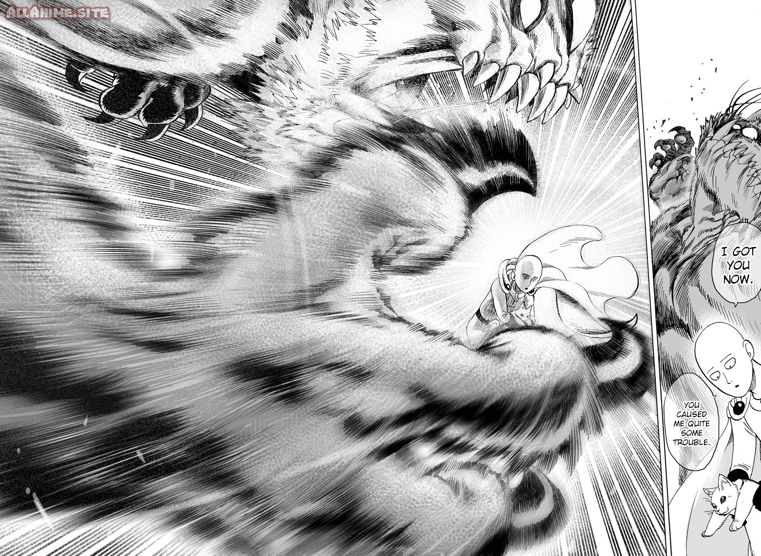 Read One-Punch Man EN Manga Online