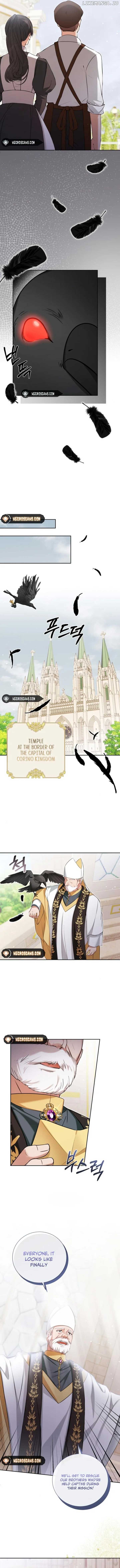 Read Taming the Shrew EN Manga Online