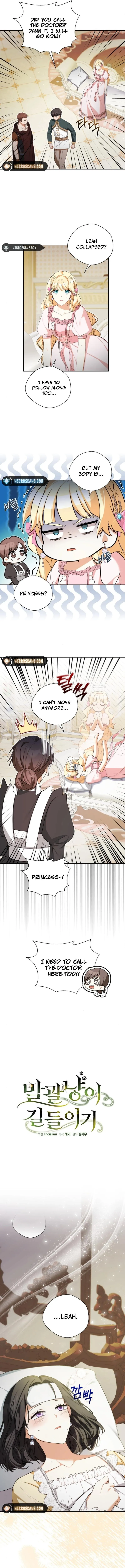 Read Taming the Shrew EN Manga Online