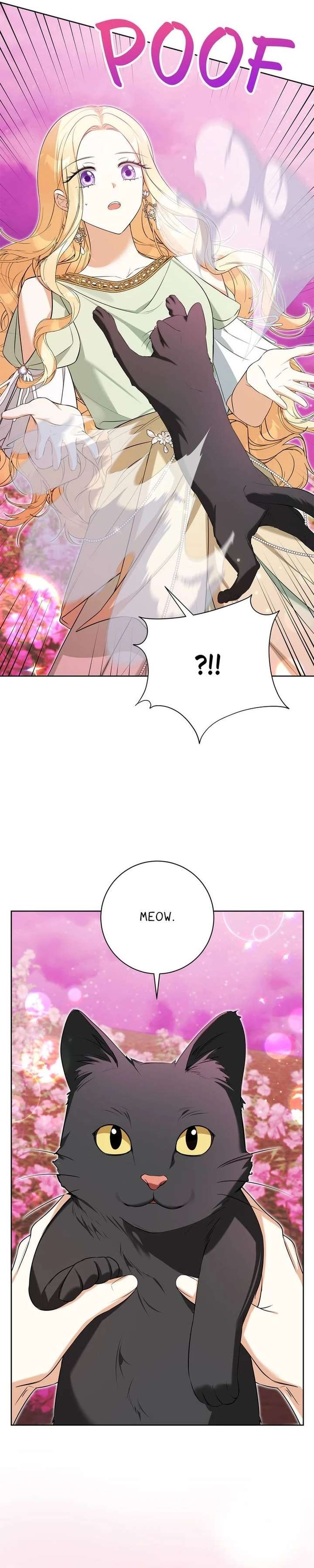 Read Taming the Shrew EN Manga Online
