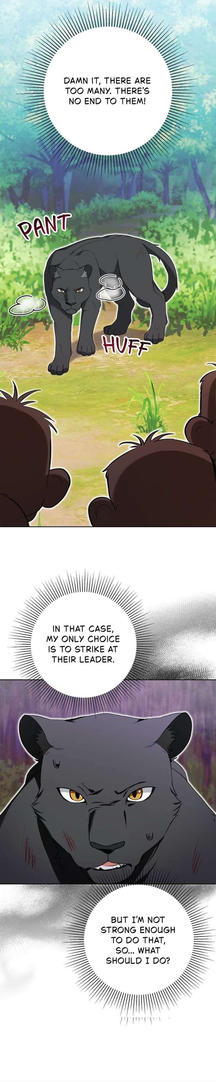 Read Taming the Shrew EN Manga Online