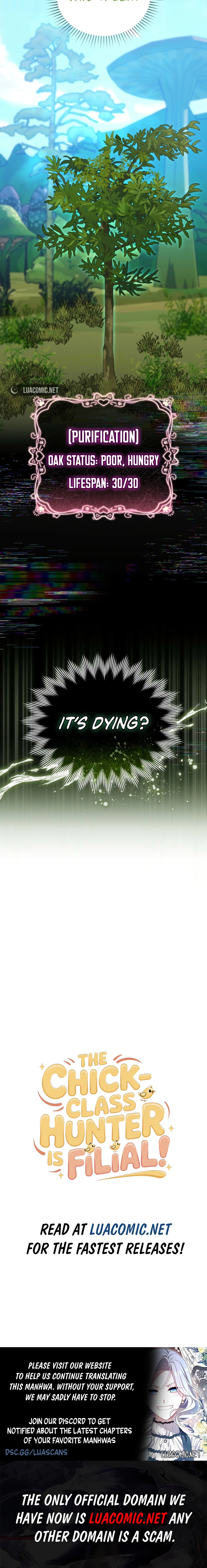 Read The Chick Class Hunter is on a Filial Duty! EN Manga Online