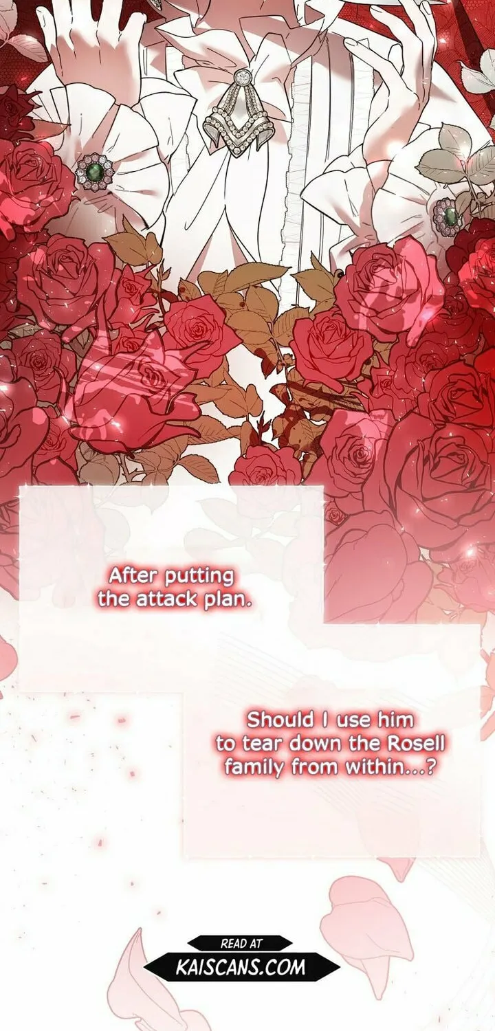 Read The Devil Raises a Lady Manga Online