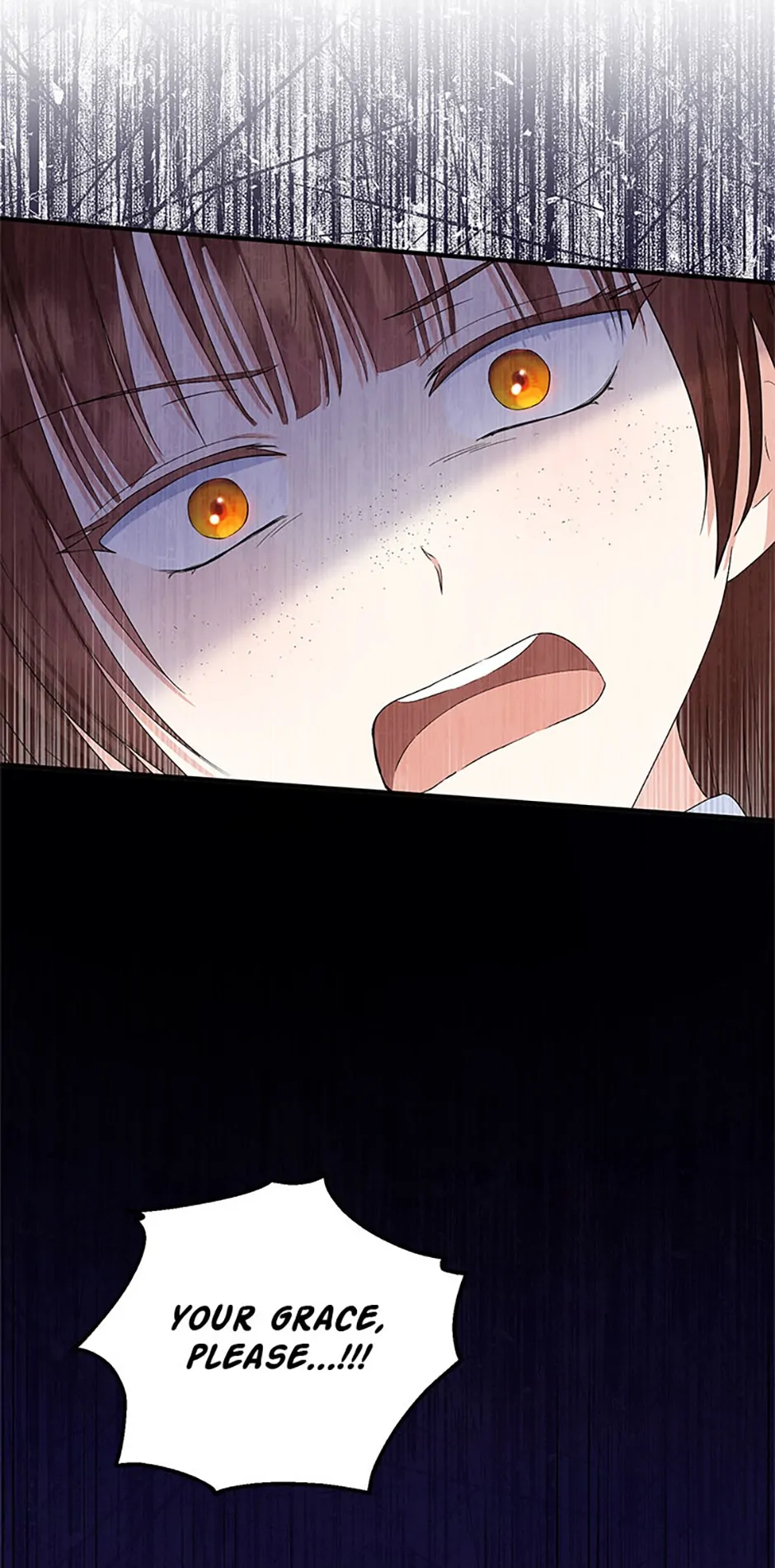 Read The Duke's Darling Daughter-in-Law EN Manga Online