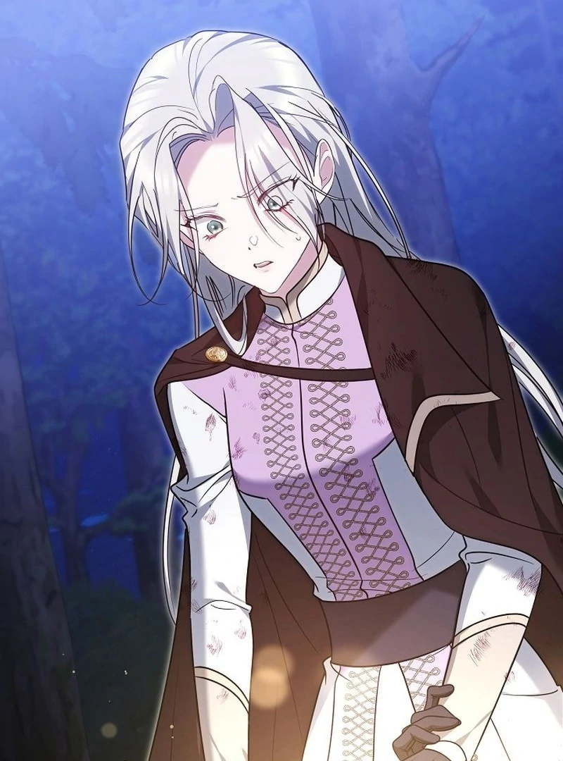 Read The Reason the Villainess Took Up the Sword EN Manga Online