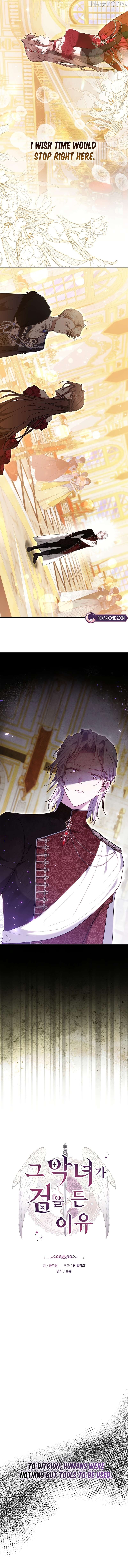 Read The Reason the Villainess Took Up the Sword EN Manga Online
