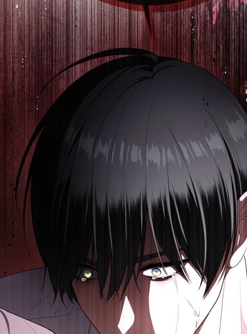 Read The S-Class Hunter Doesn't Want to Be a Villainous Princess EN Manga Online
