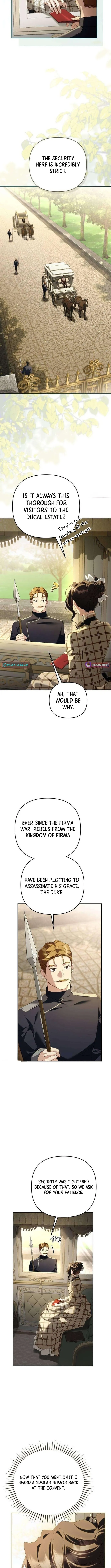 Read The Scandal Maker Has Returned Manga Online