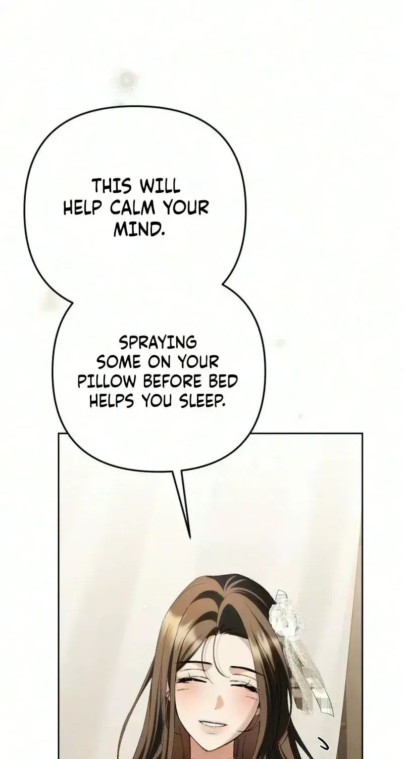 Read The Scandal Maker Has Returned Manga Online