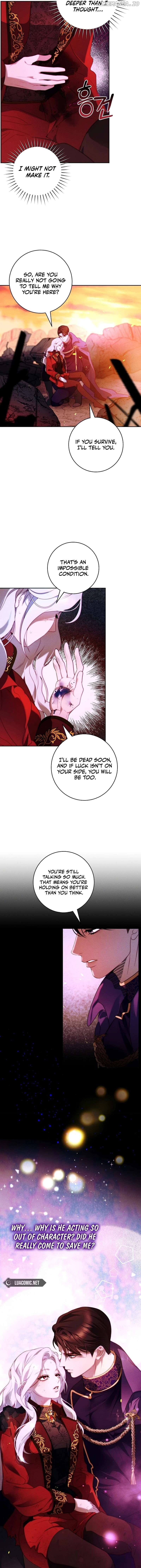 Read This Marriage Will Surely Succeed EN Manga Online