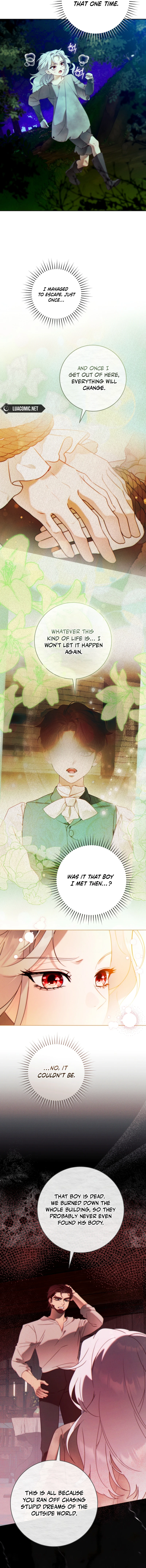 Read This Marriage Will Surely Succeed EN Manga Online