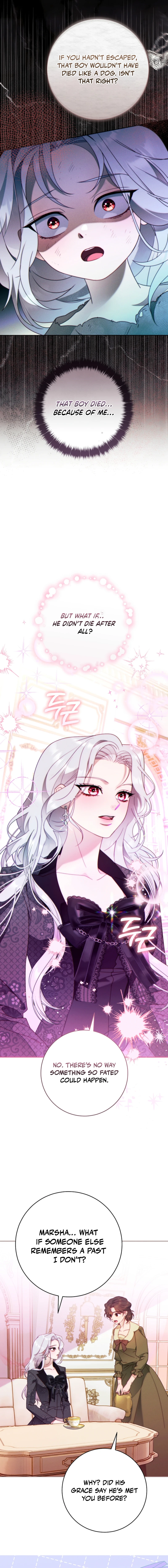 Read This Marriage Will Surely Succeed EN Manga Online