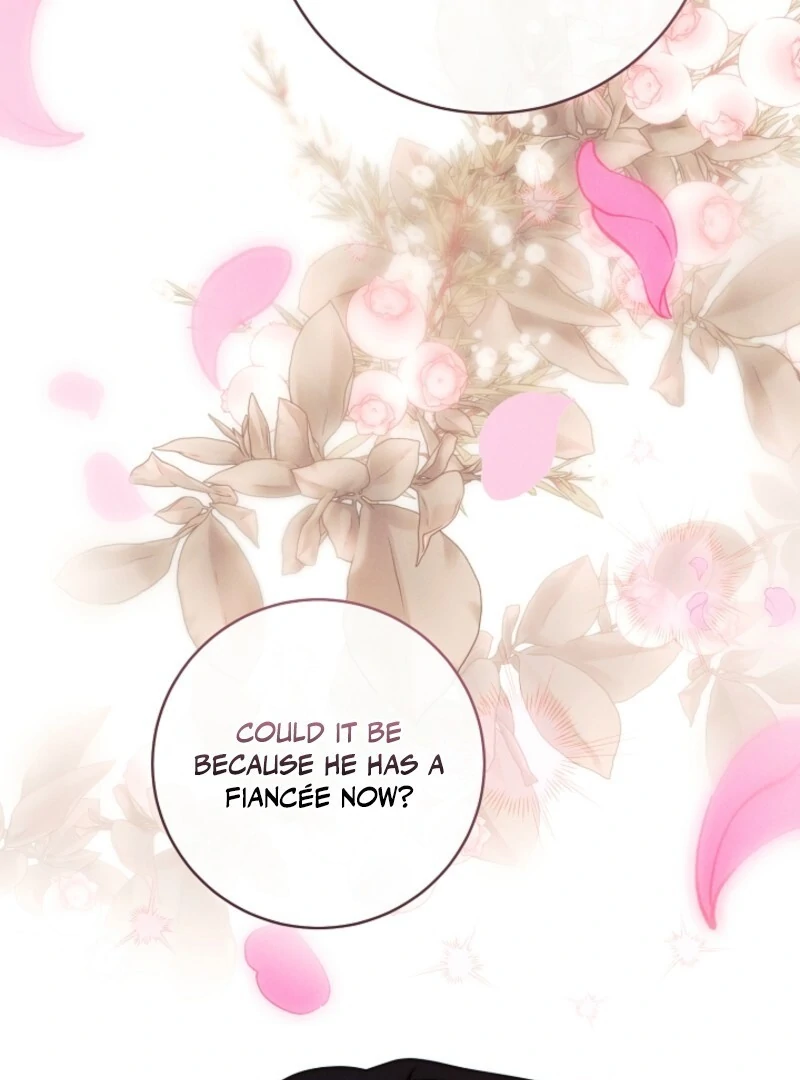 Read This Marriage Will Surely Succeed EN Manga Online