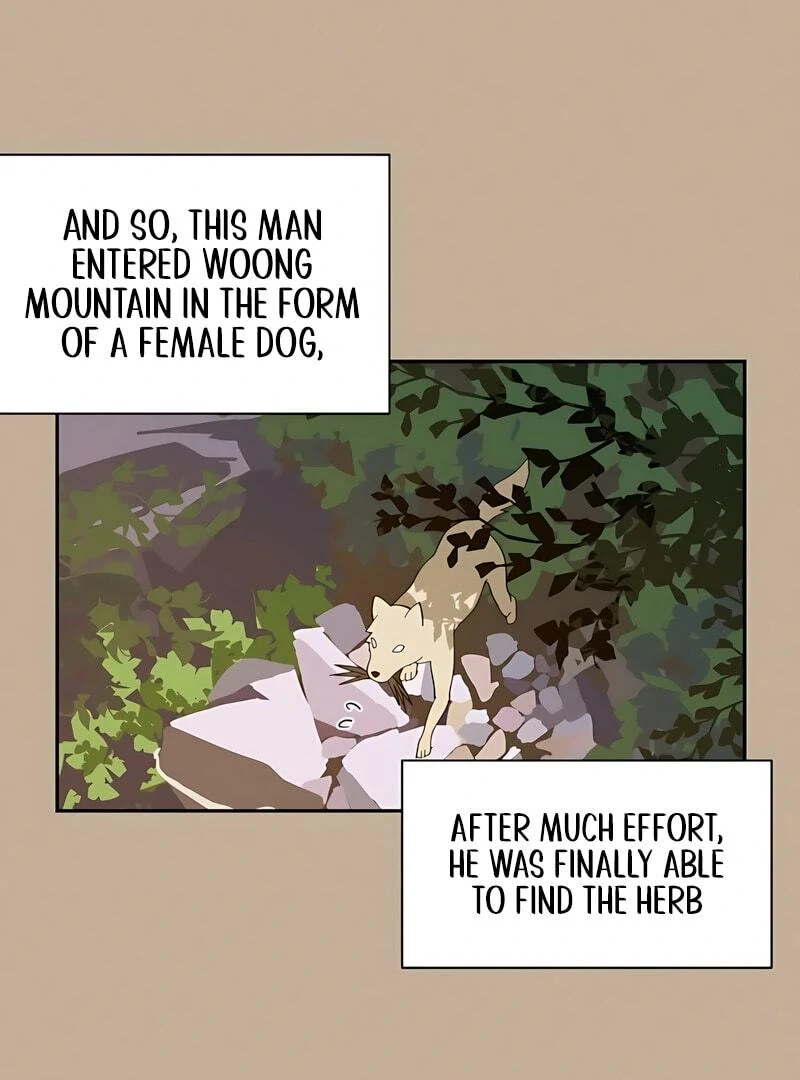 Read Today Is a Woman Day EN Manga Online