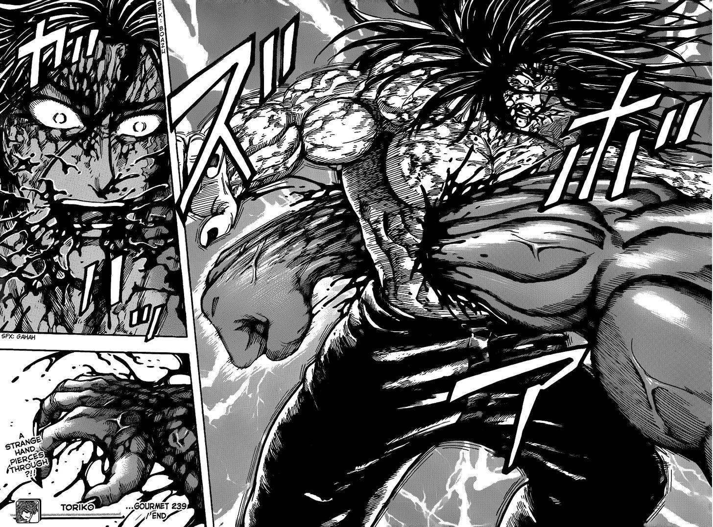 Read Toriko EN Manga Online