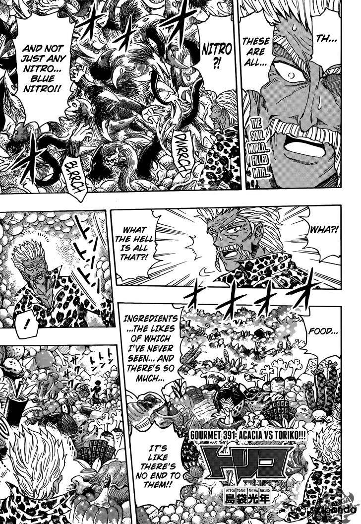 Read Toriko EN Manga Online