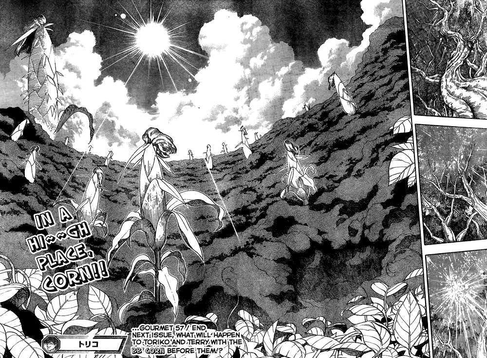 Read Toriko EN Manga Online