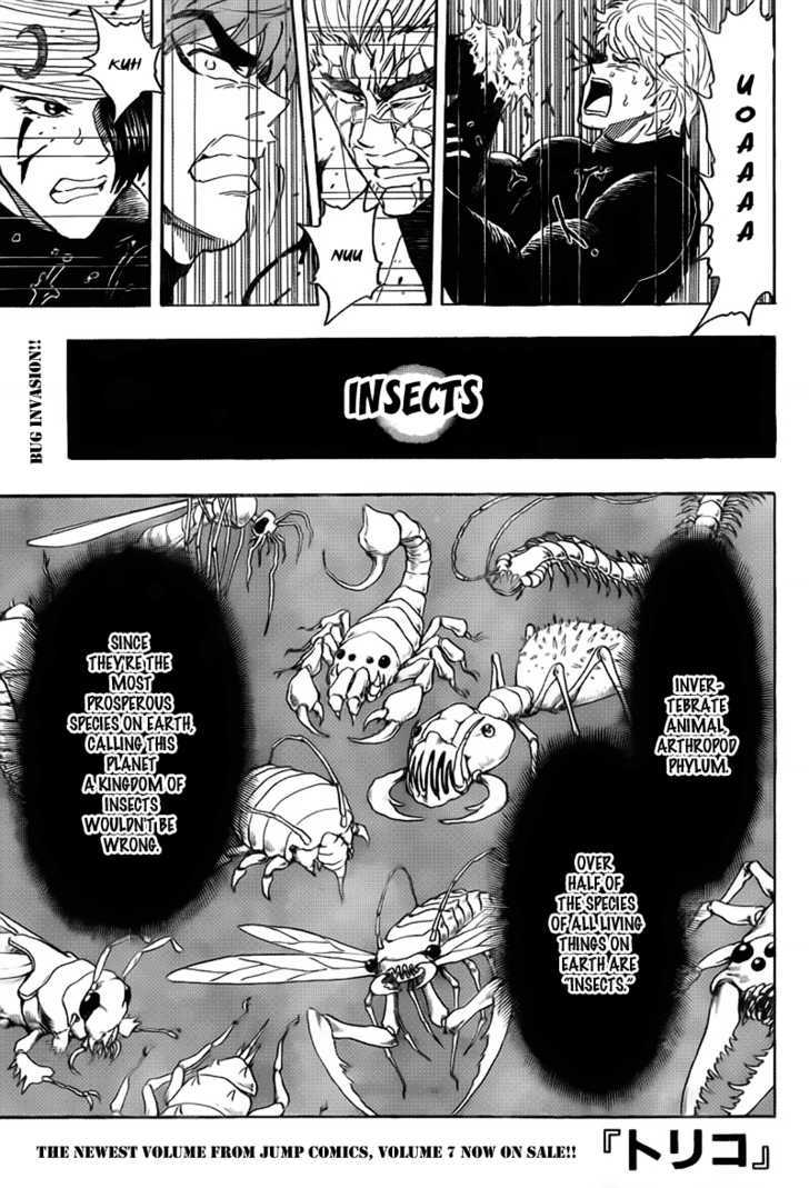 Read Toriko EN Manga Online
