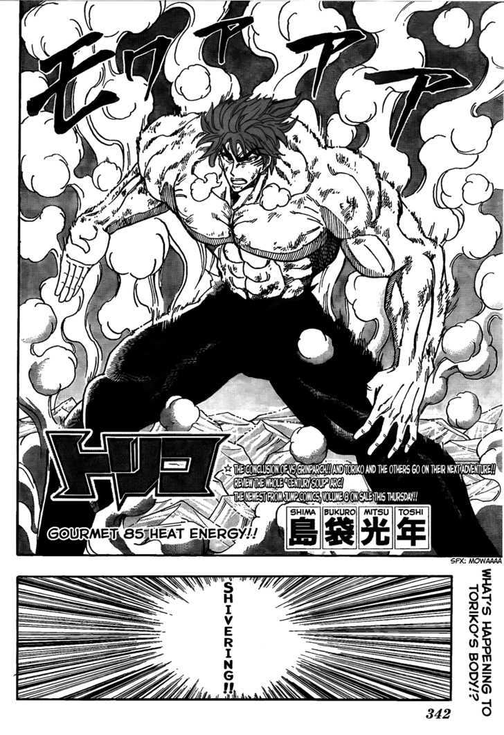 Read Toriko EN Manga Online