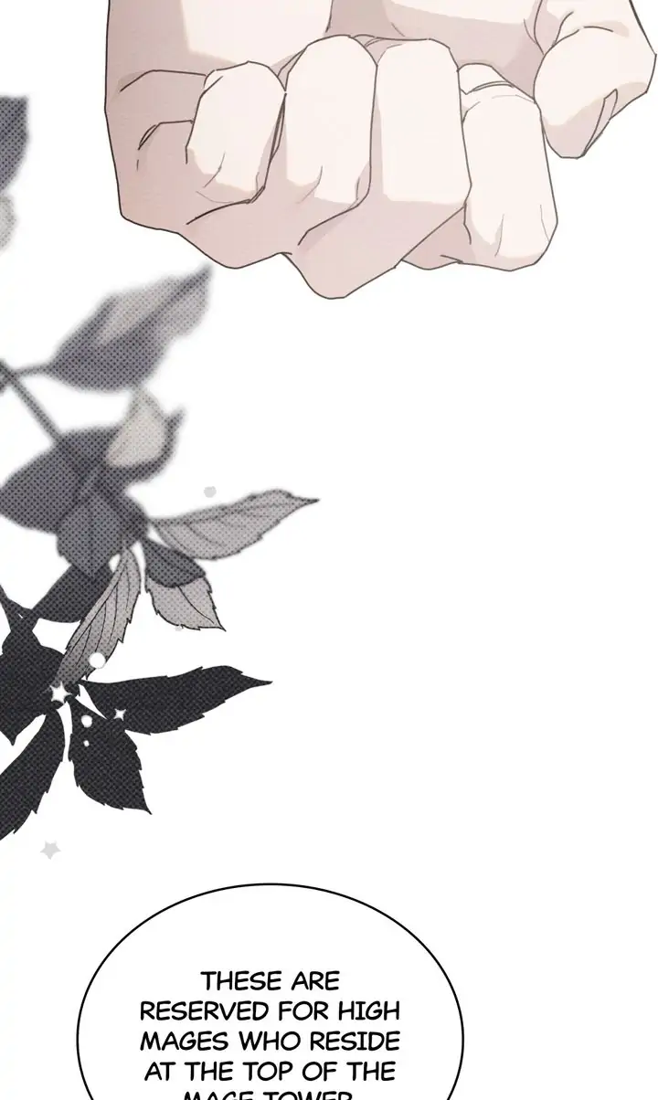 Read Under the Oak Tree EN Manga Online