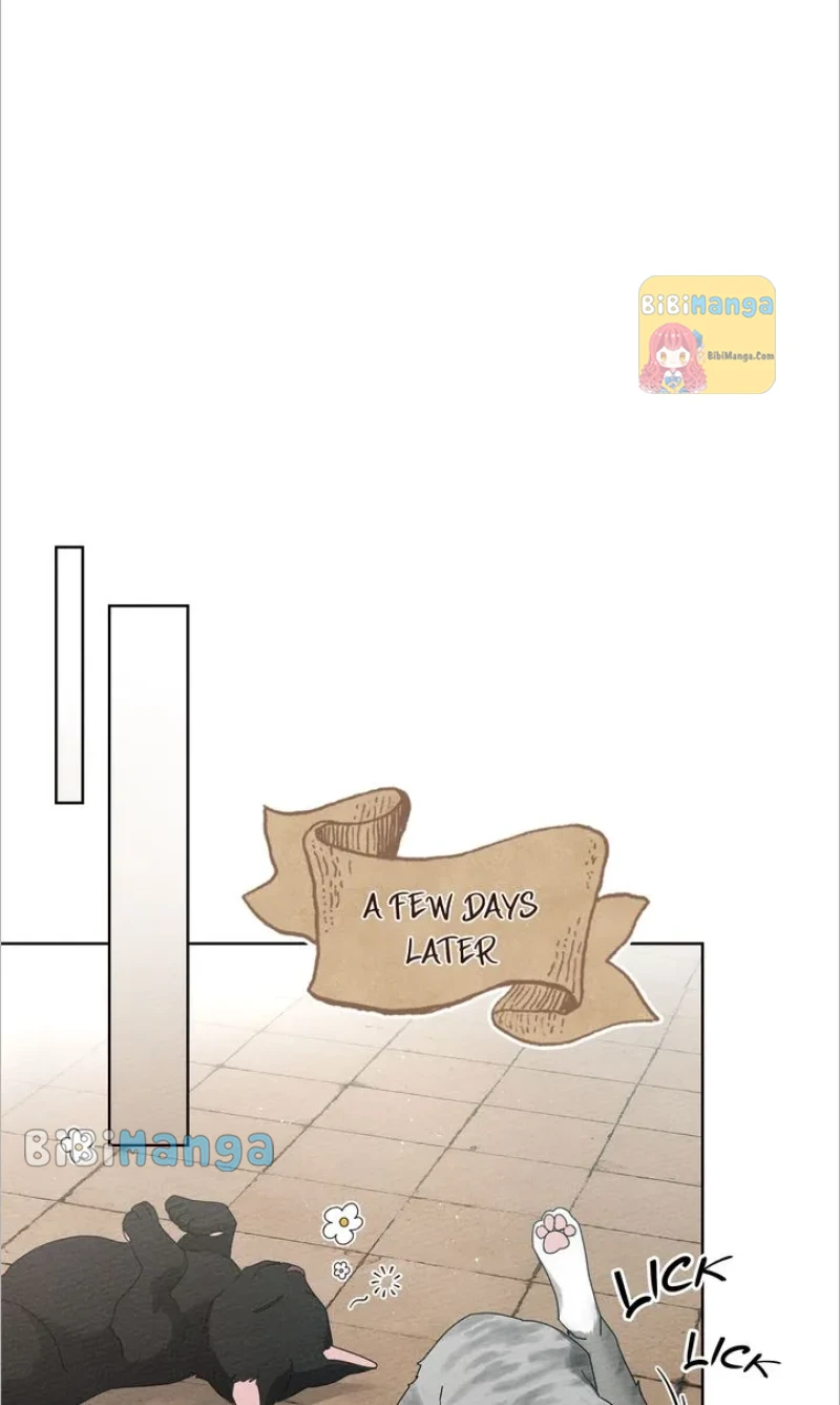 Read Under the Oak Tree EN Manga Online