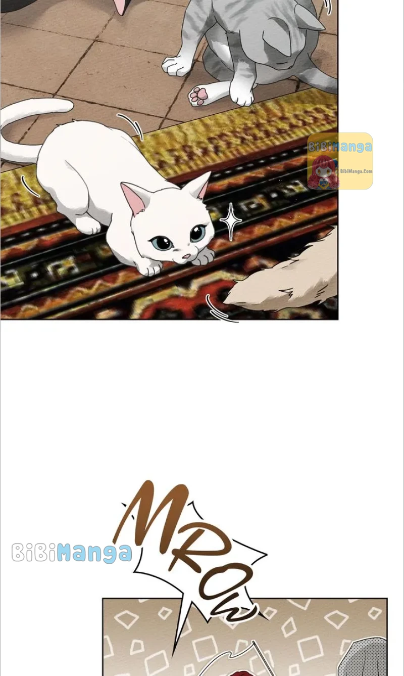 Read Under the Oak Tree EN Manga Online