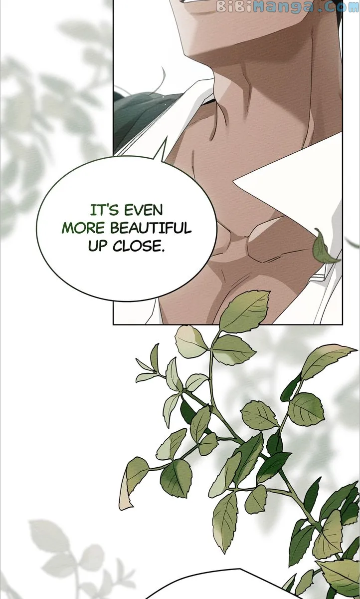 Read Under the Oak Tree EN Manga Online
