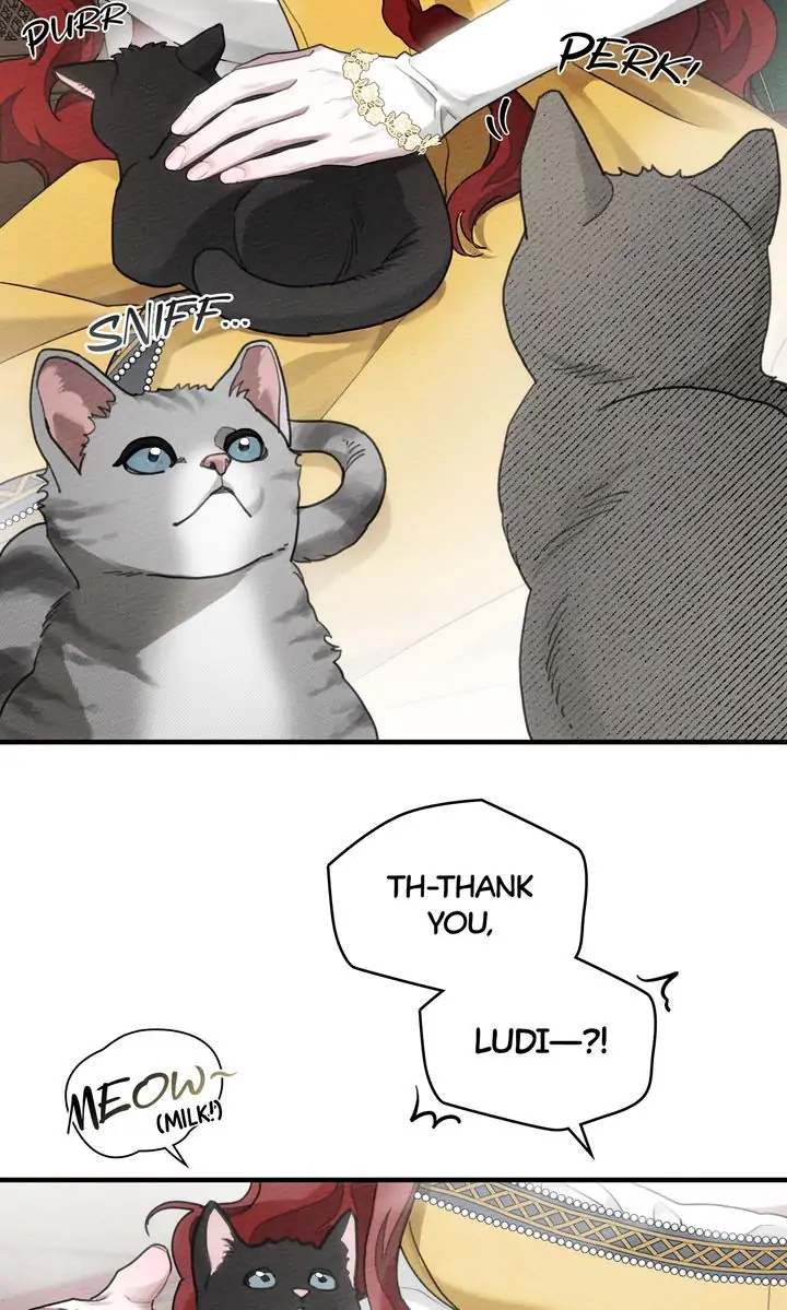 Read Under the Oak Tree EN Manga Online