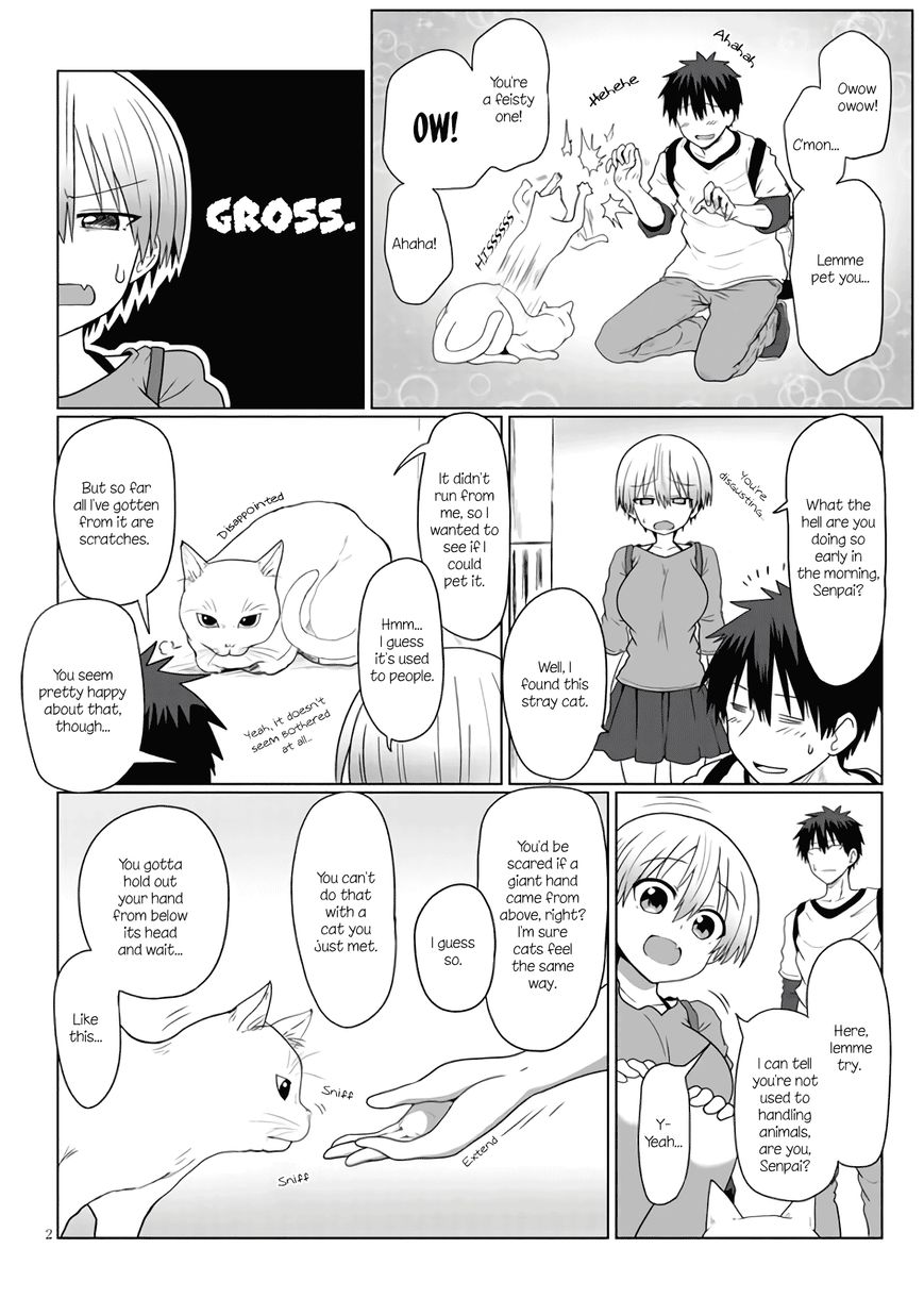 Read Uzaki-chan wa Asobitai! EN Manga Online