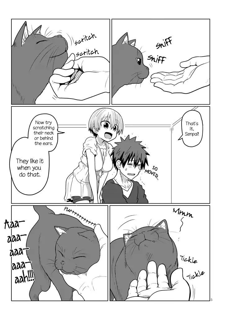 Read Uzaki-chan wa Asobitai! EN Manga Online